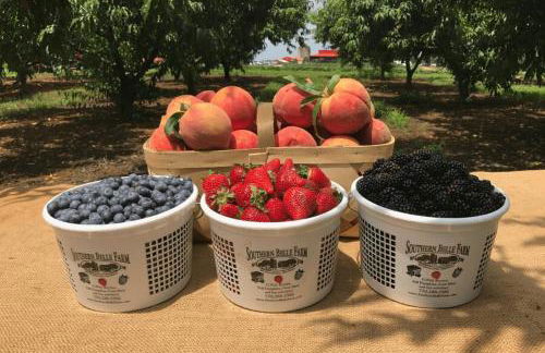 Spectacular Quiet Townhome with Modern Comfort - Foto 14