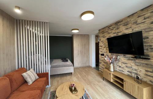 Silesian Gold Apartments - Foto 37