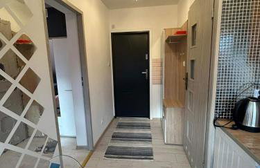 Ropienka ski micro - Foto 3