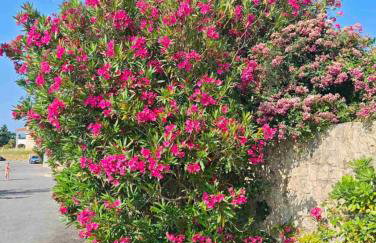 AURORA apartment - 70 m from the sea - Foto 31