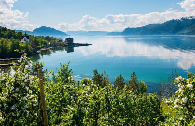 Excursión al fiordo de Hardanger + Teleférico Voss Gondol - Foto 12