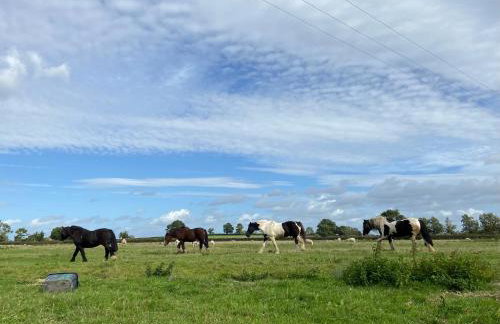 Stable Cottage, Old Mill Farm, Cotswold Water Park - Foto 28