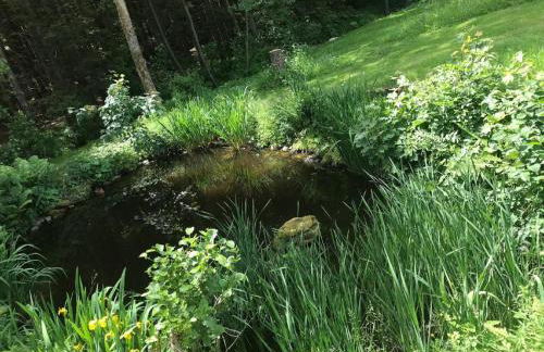 Ferienwohnung Hubertus - Foto 27