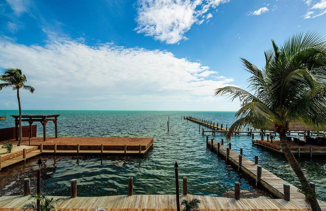 The Caribbean Resort Fish Tail Palm - Foto 12