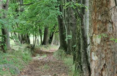 Nad Strumieniem - Foto 35