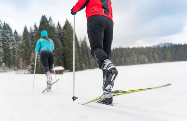 Holiday Home in Altmelon Near Weinsberg Forest - Foto 36