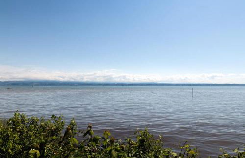 Seedomizil - Foto 47