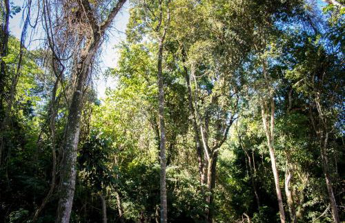 Loft com vista para mata! - Foto 41