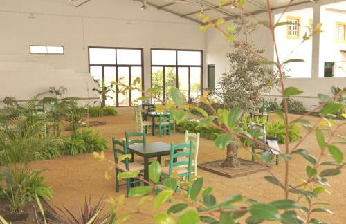 Pátio das Ribeiras - Foto 26