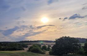 Falkenhof Meisdorf - Foto 24