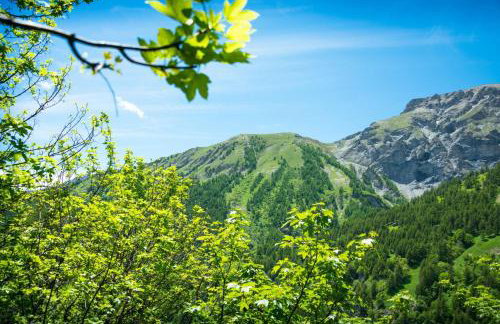 Baita La Ciaburna skiing nearby - Happy Rentals - Foto 3