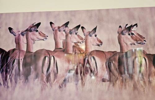 Charming Villa Jarros Private pool & Golf - Foto 30