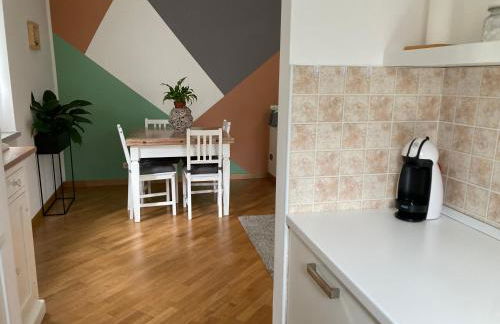 La Piana Vigezzo Santa Maria Maggiore Piano Terra con giardino - Foto 8