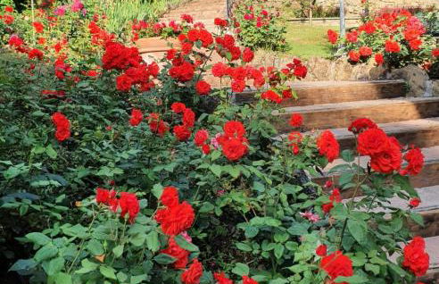 Torre Del Cielo - Foto 14