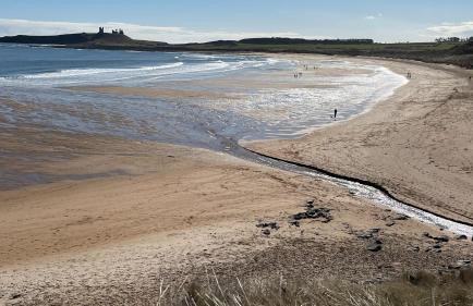 St Hilda Beach Hut Alnmouth - Foto 51
