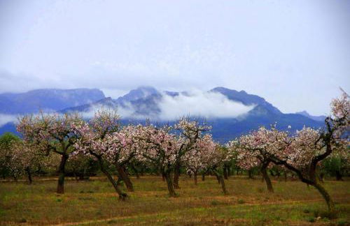 La Ultima Casa Masboquera - Foto 72