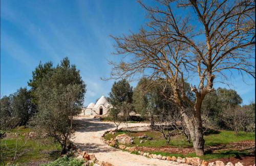 Siede la Terra - Trullo con piscina - Foto 25