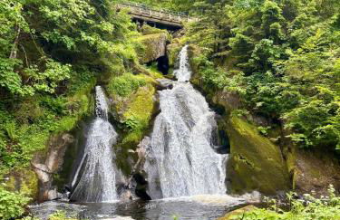 Ferienwohnung Riese - Foto 32