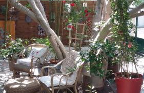 Cielito Lindo - Foto 7