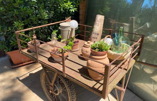 Agriturismo Podere Pizzicagallo - Foto 61