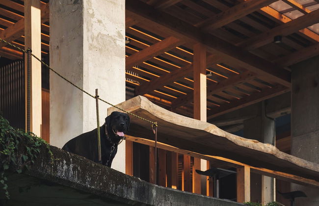 CrossFit Otoyo Strength TINY HOUSE - Foto 24