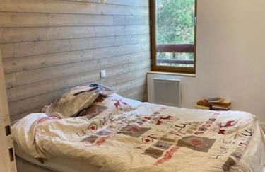 BONASCRE Superbe appartement pied de piste - Foto 19