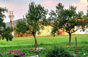 Apartman Rita - Foto 32