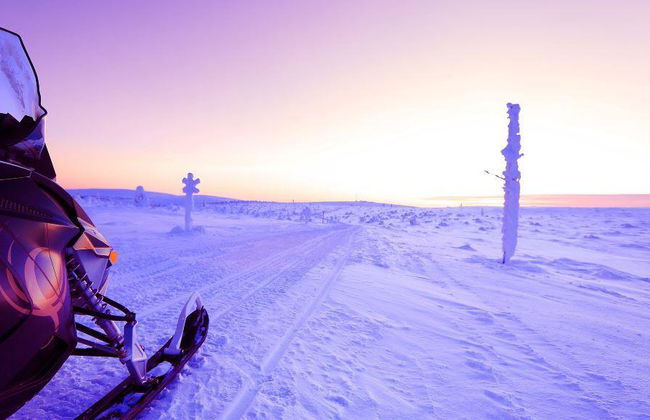 Levi's Ultimate 15km Husky Self-Driving Journey - Foto 6