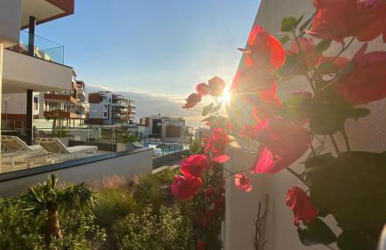 Blue Lady by the Sea - Photo 46