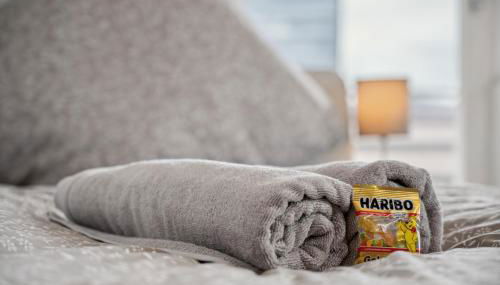 Monteurwohnungen in Köngen Küche, Wifi, Smart TV, Wendlingen, Stuttgart, Autobahn A8 - Foto 4