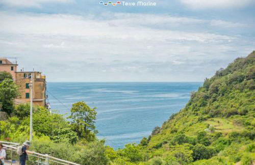 Life, TerreMarine - Foto 3