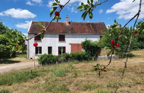 Bel Air Frais proche Beauval & châteaux de la Loire - Foto 32