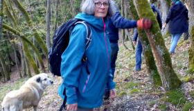 Ferienhof Mies - Foto 3