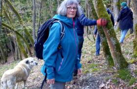 Ferienhof Mies - Foto 3