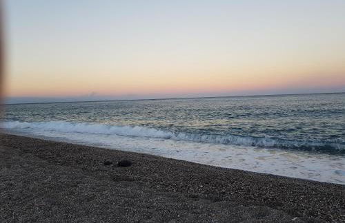 I Cardellini - Foto 17