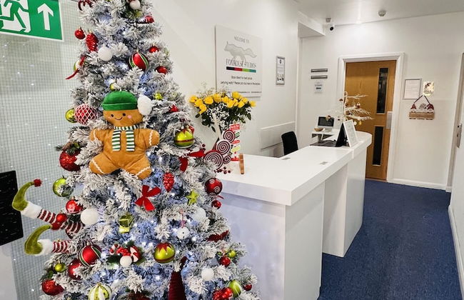 Fox House, Studio Apartments - Foto 2