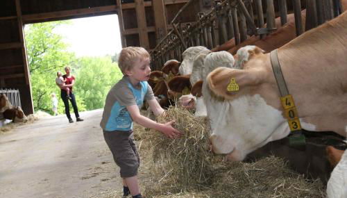 Schusterhof Urlaub auf dem Bauernhof - Foto 5