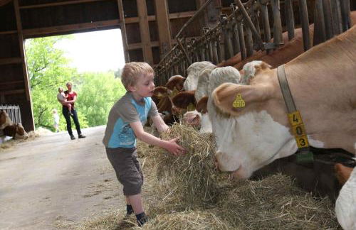 Schusterhof Urlaub auf dem Bauernhof - Foto 5