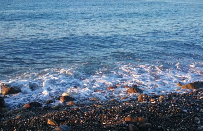 Harbor View near Airport - Foto 9