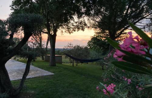 Villa Oliva Istria - Foto 48