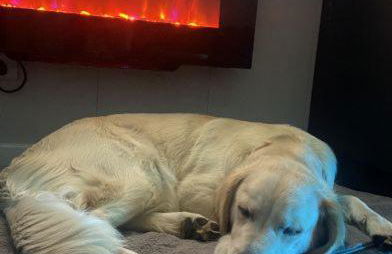 Raven's Gully - Brodick, Isle Of Arran - Photo 22