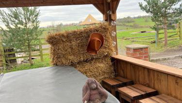 Starshinezzz - Large Farmhouse County Durham - Foto 3