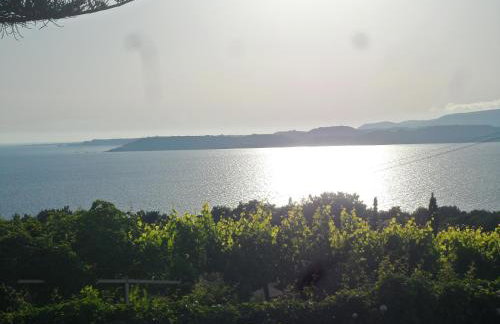 Mediterranean Studios - Photo 25