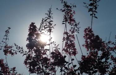 La Bastide de Claude - Foto 17