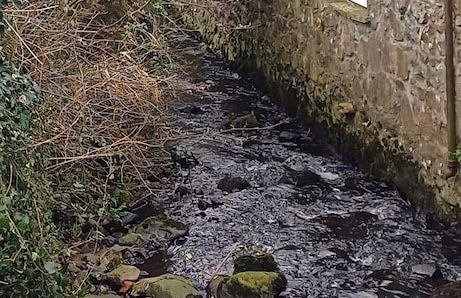 Riverside Cottage at Logwood Mill - Foto 59
