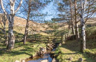 2 Bed in Wooler oc-nb317 - Photo 18