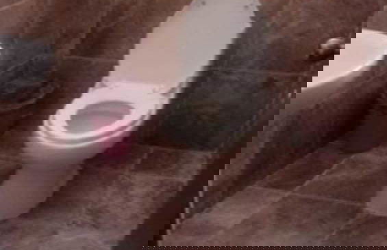 Hakal Creel-Barrancas del Cobre - Foto 12