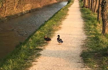 CASA ELSA Charming Apartment - Foto 6