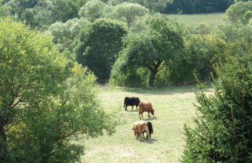 Ederauenblick - Foto 23