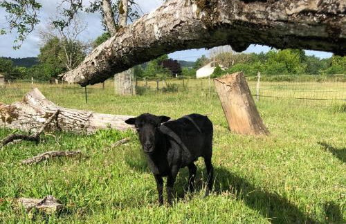 Le bon chemin Studio Stockholm - Foto 17